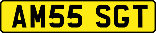 AM55SGT