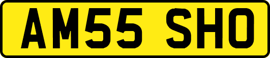 AM55SHO