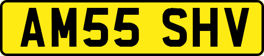 AM55SHV