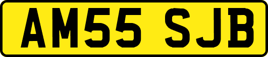 AM55SJB