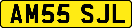 AM55SJL