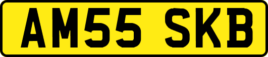 AM55SKB