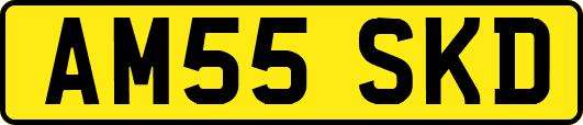 AM55SKD