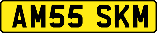 AM55SKM