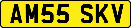 AM55SKV