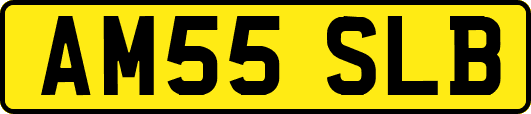 AM55SLB