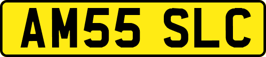 AM55SLC