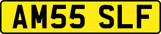 AM55SLF