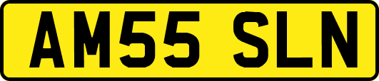 AM55SLN