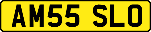 AM55SLO
