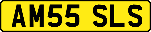 AM55SLS