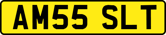 AM55SLT
