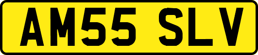 AM55SLV