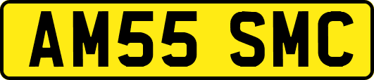 AM55SMC