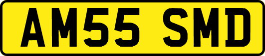 AM55SMD