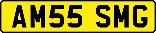 AM55SMG