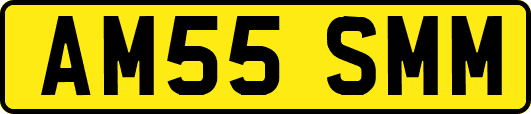 AM55SMM