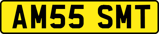 AM55SMT