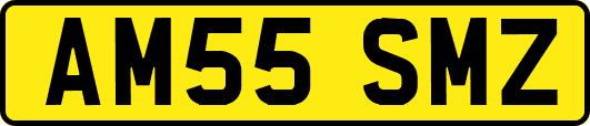 AM55SMZ