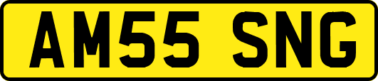 AM55SNG