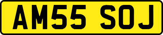 AM55SOJ