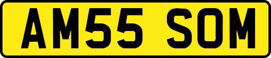 AM55SOM