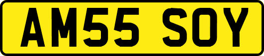 AM55SOY