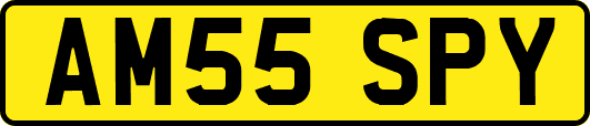 AM55SPY