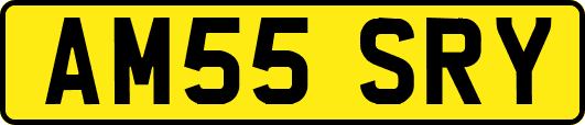AM55SRY