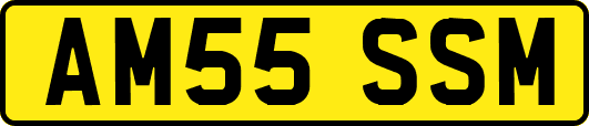 AM55SSM