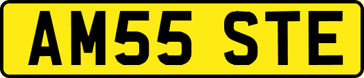 AM55STE