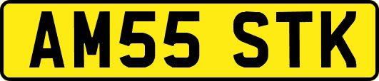 AM55STK