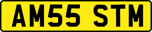 AM55STM