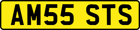 AM55STS