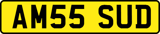 AM55SUD