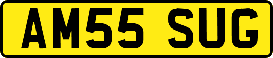 AM55SUG