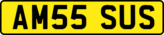 AM55SUS