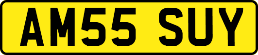 AM55SUY