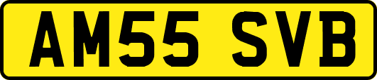 AM55SVB