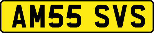 AM55SVS