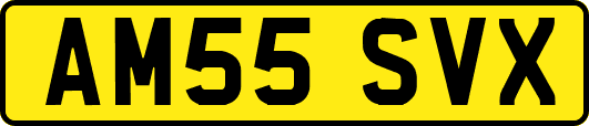 AM55SVX