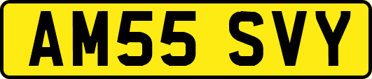 AM55SVY