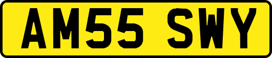 AM55SWY
