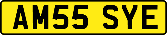 AM55SYE