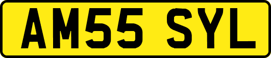 AM55SYL