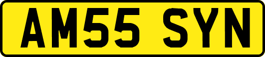 AM55SYN