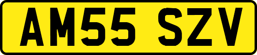 AM55SZV
