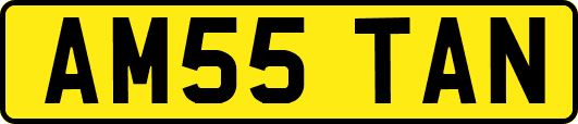 AM55TAN