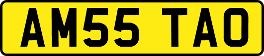 AM55TAO