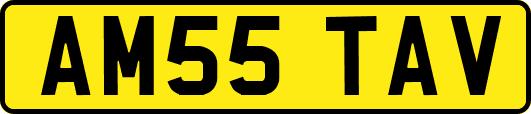 AM55TAV